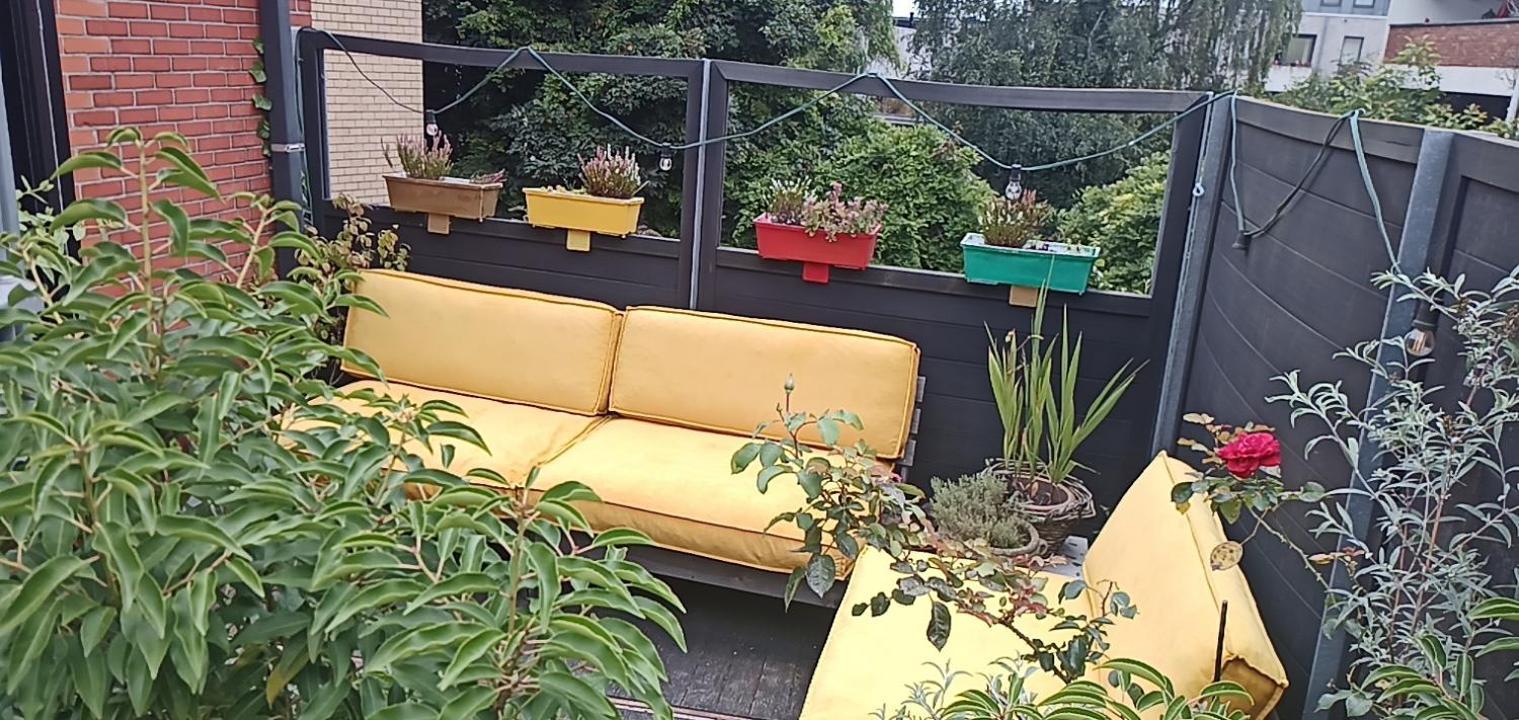 Lodgerivierenhof أنتويرب المظهر الخارجي الصورة