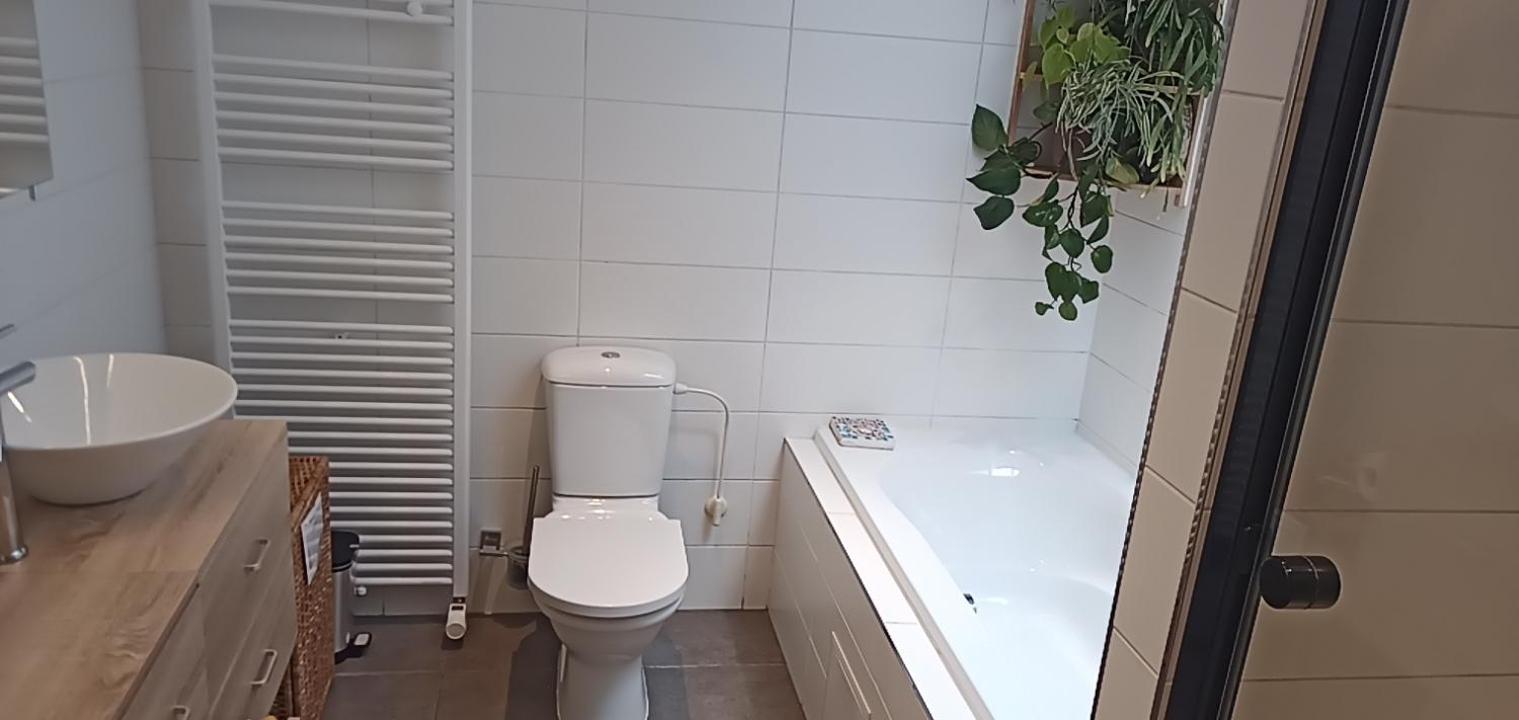 Lodgerivierenhof أنتويرب المظهر الخارجي الصورة